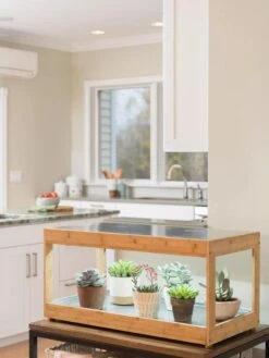 Low Bamboo LED Grow Light Garden -Garden Supply Store 8597720 9385 tif