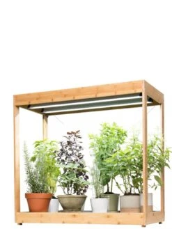 Medium Bamboo LED Grow Light Garden -Garden Supply Store 8597883 1011 tif