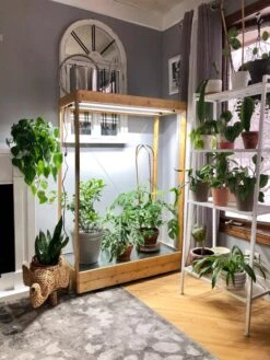 Tall Bamboo LED Grow Light Garden -Garden Supply Store 8597884 01IN tif