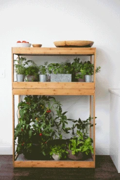 Bamboo Home LED Grow Light Garden 16 Bamboo Home LED Grow Light Garden -Garden Supply Store 8598088 BambooLEDHomeGarden light gif