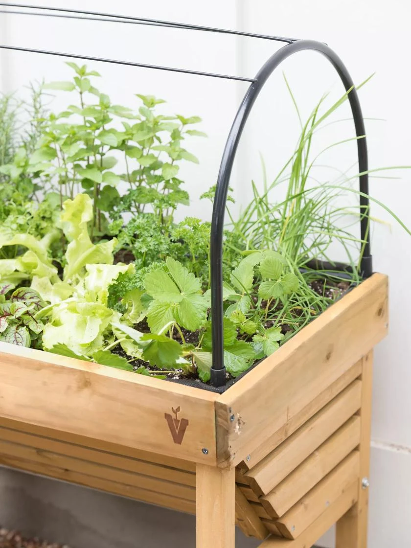 VegTrug® Mini Wallhugger Planter With Cover 4 VegTrug® Mini Wallhugger Planter With Cover - Image 4