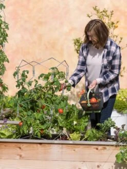 Gardener's Vertex Lifetime Tomato Cage -Garden Supply Store 8598426 0026 tif