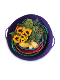 Colorful Tubtrug, 3-1/2 Gallon -Garden Supply Store 8599088 20GalTubTrug gif 1