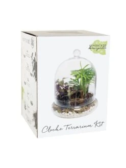 Cloche Terrarium Kit Medium -Garden Supply Store 8599148 01v