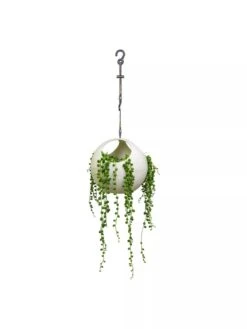 Exaco Euro Hanging Planters, Set Of 2 -Garden Supply Store 8599179 06V tif