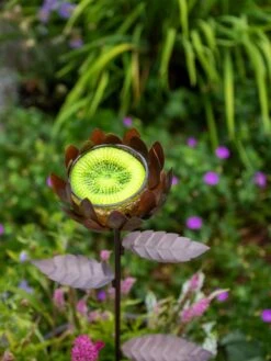 Dahlia Butterfly Feeder -Garden Supply Store 8599369 683 tif