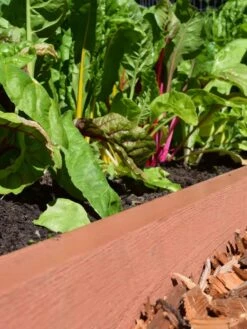 Straight Landscape Edging Kit With 2" Boards -Garden Supply Store 8599408 02V tif