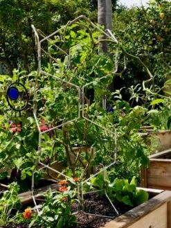 Gardener's Vertex Lifetime Pepper And Eggplant Cage -Garden Supply Store 8599554 01CUST tif