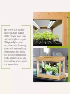 Bamboo Mini LED Grow Light Garden 18 Bamboo Mini LED Grow Light Garden -Garden Supply Store 8599624 06