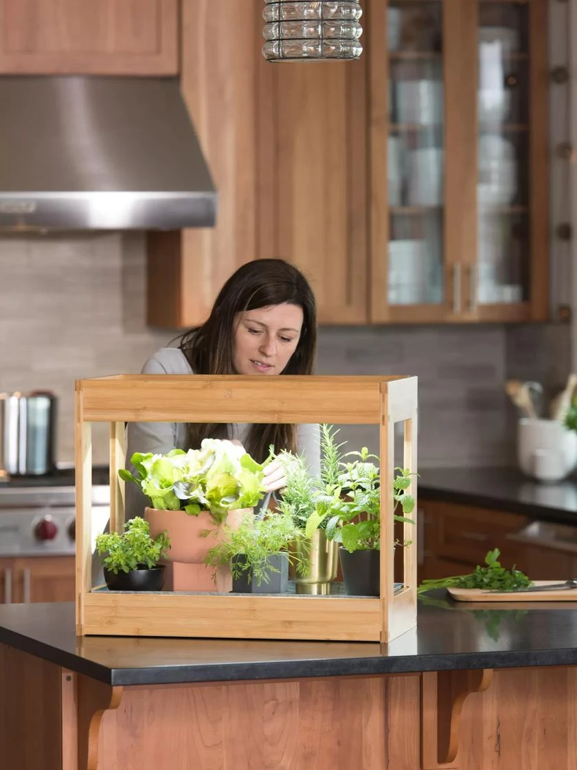 Bamboo Mini LED Grow Light Garden 4 Bamboo Mini LED Grow Light Garden - Image 4