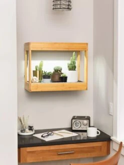 Bamboo Mini LED Grow Light Garden 12 Bamboo Mini LED Grow Light Garden -Garden Supply Store 8599624 12872 tif