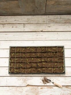 Paper Pots, 50 Cell -Garden Supply Store 8599830 18489 tif