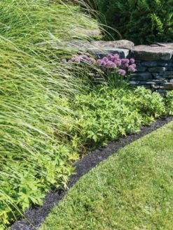 Recycled Rubber Mulch Edging, 12’ X 6” -Garden Supply Store 8599854 0897 tif