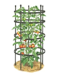Titan Tomato Cages, Set Of 3 -Garden Supply Store 8599861 0001 art tif