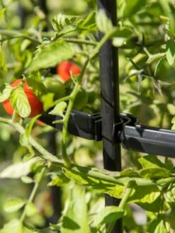 Titan Tomato Cages, Set Of 3 -Garden Supply Store 8599861 0079 tif 1