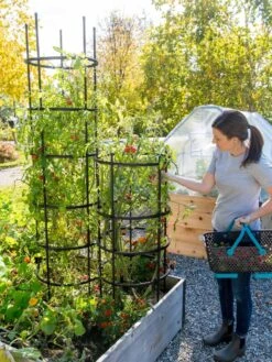 Titan Tomato Cages, Set Of 3 -Garden Supply Store 8599861 0114 tif