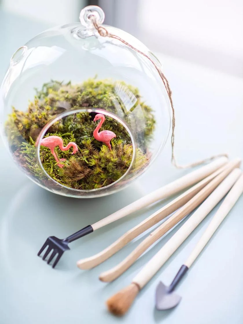 Terrarium Tools, Set Of 4 3 Terrarium Tools, Set Of 4 - Image 3