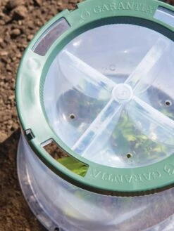 Sunny Forcing Cloches, Set Of 3 9 Sunny Forcing Cloches, Set Of 3 -Garden Supply Store 8600075 0742 tif