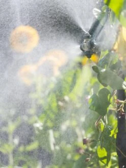 Landscape 4-Way Cooling Mist Kit, 50' 10 Landscape 4-Way Cooling Mist Kit, 50' -Garden Supply Store 8600154 0695 tif