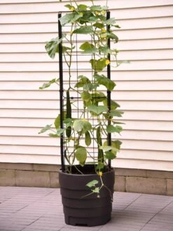 Gardener’s Victory Self-Watering Planter Garden With Vine Trellis 9 Gardener’s Victory Self-Watering Planter Garden With Vine Trellis -Garden Supply Store 8600177 9876 tif