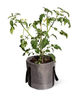 Reinforced Colorful Grow Bags 11 Reinforced Colorful Grow Bags -Garden Supply Store 8600229 0944 tif