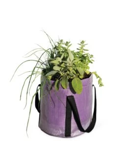Reinforced Colorful Grow Bags 8 Reinforced Colorful Grow Bags -Garden Supply Store 8600230 0948 tif