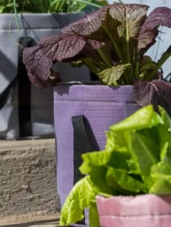 Reinforced Colorful Grow Bags 9 Reinforced Colorful Grow Bags -Garden Supply Store 8600230 20013 tif