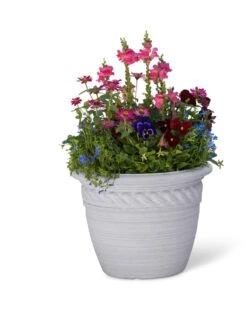 Cortina Self-Watering Planters -Garden Supply Store 8600316 19838 tif