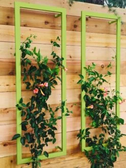 Ina Modern Wall Trellis Sr. -Garden Supply Store 8600510 01V tif