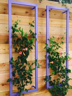 Ina Modern Wall Trellis Sr. -Garden Supply Store 8600510 07V tif
