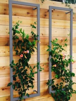 Ina Modern Wall Trellis Sr. -Garden Supply Store 8600510 08V jpg