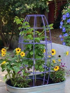 Toki Bubble Trellis 12 Toki Bubble Trellis -Garden Supply Store 8600520 02V tif