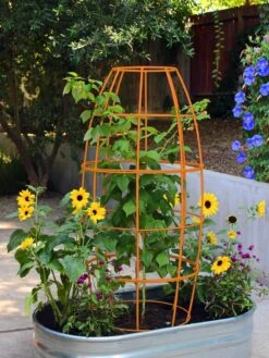 Toki Bubble Trellis 10 Toki Bubble Trellis -Garden Supply Store 8600520 03V tif
