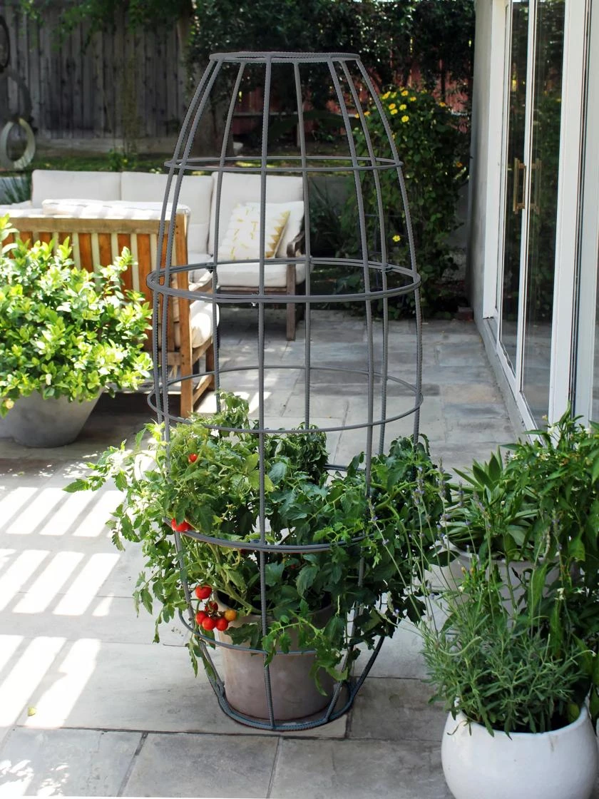 Toki Bubble Trellis 3 Toki Bubble Trellis - Image 3