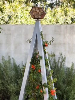 Bee Bungalow + Akoris Garden Tuteur Jr. -Garden Supply Store 8600532 07v