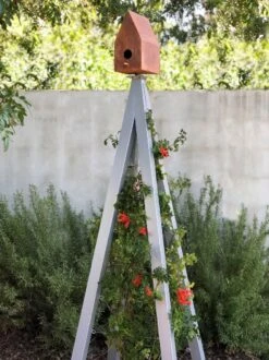 Bird Bungalow + Akoris Garden Tuteur Jr. -Garden Supply Store 8600541 07v