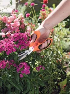 Gardener's Multi Purpose Scissors -Garden Supply Store 8608655 19551 tif