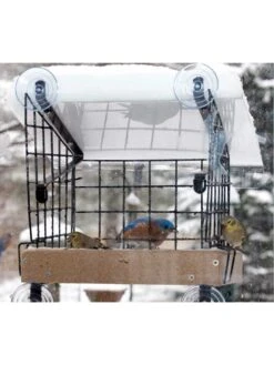Birds Choice Window Mount Bird Feeder Kits 11 Birds Choice Window Mount Bird Feeder Kits -Garden Supply Store 8608818 06v