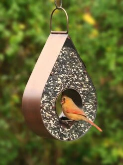 Teardrop Fly-Thru™ Bird Feeder -Garden Supply Store 8609054 02v