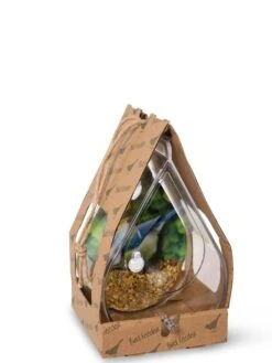 Dewdrop Window Bird Feeder -Garden Supply Store 8609061 4444 tif