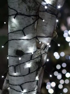 Solar LED String Lights, Lightup125™ -Garden Supply Store 8609126 02V tif
