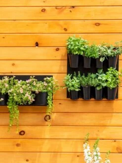 8 Pot Metal Wall Planter -Garden Supply Store 8609195 6250 tif