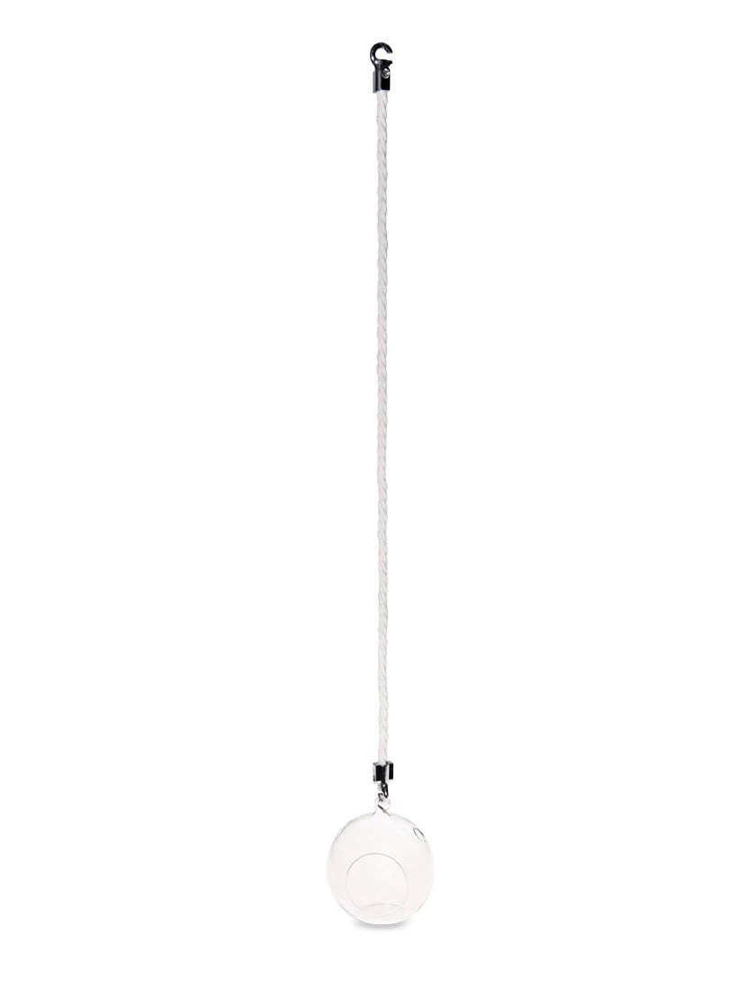 Mini Blown-Glass Hanging Terrarium, Set Of 2 4 Mini Blown-Glass Hanging Terrarium, Set Of 2 - Image 4