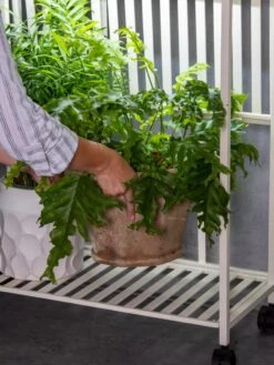 Oslo 2-Tier LED Grow Light Garden, 2 Fixtures -Garden Supply Store 8609220 4122 tif