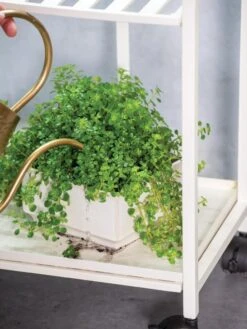 Oslo 2-Tier Plant Stand With Folding Shelves 9 Oslo 2-Tier Plant Stand With Folding Shelves -Garden Supply Store 8609220 4137 tif