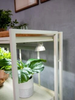 Oslo 2-Tier LED Grow Light Garden, 2 Fixtures -Garden Supply Store 8609221 4101 tif