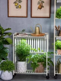 Oslo 2-Tier LED Grow Light Garden, 2 Fixtures -Garden Supply Store 8609221 7236 tif