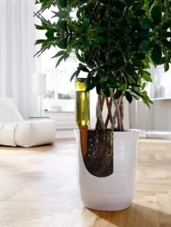 Hydro Wine Container Watering System, Set Of 4 11 Hydro Wine Container Watering System, Set Of 4 -Garden Supply Store 8609224 04V tif