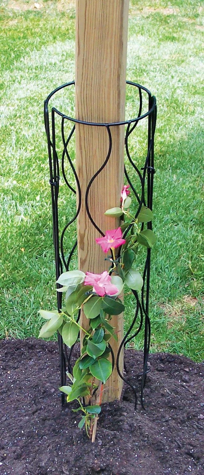 Bosmere Trellis For Mailbox Or Lamp Post 1 Bosmere Trellis For Mailbox Or Lamp Post
