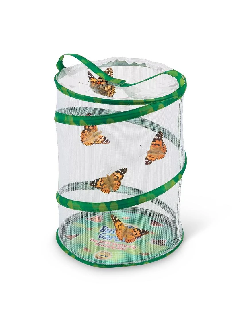 Butterfly Garden® Kit With Voucher 2 Butterfly Garden® Kit With Voucher - Image 2